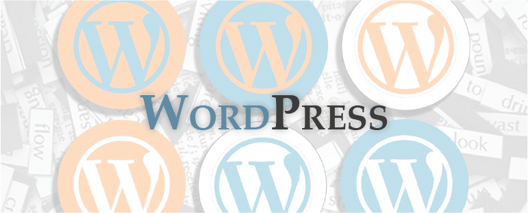 So You’re Going to Create Your Own WordPress Website
