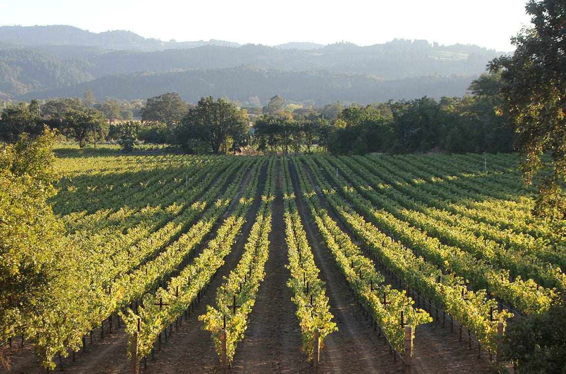 The GRADE Cellars website